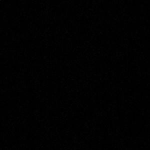 Meet your Posher, Paige